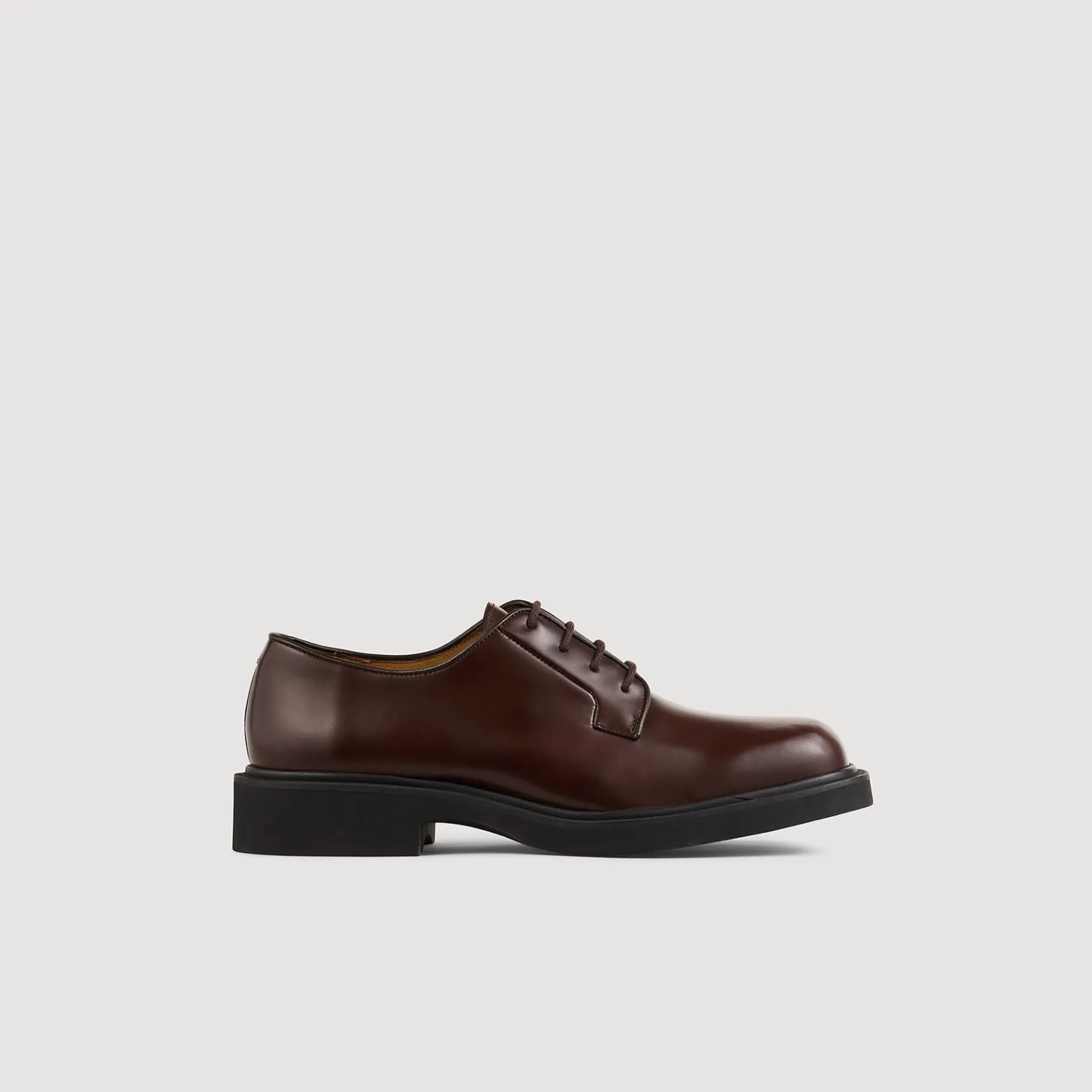 New SANDRO Derbies En Cuir Glacé Marron Foncé